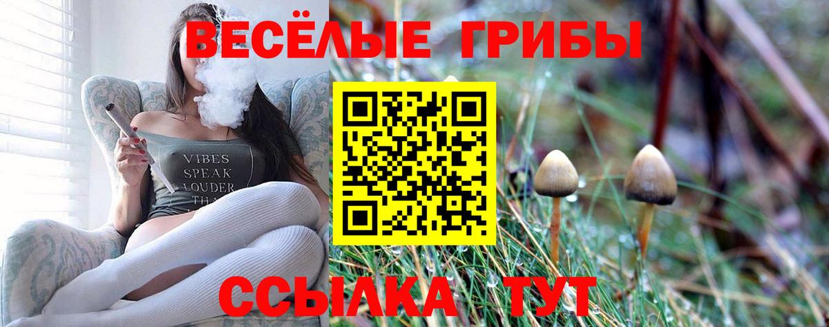 Ефремов  Псилоцибиновые грибы мухоморы  Вход с VPN  Псилоцибиновые грибы GOLDEN TEACHER 
