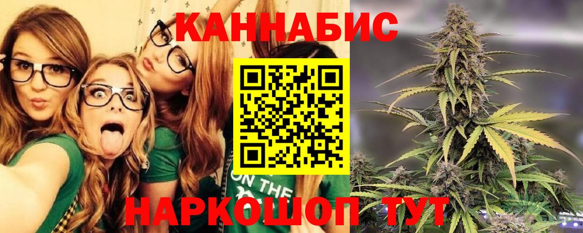 Каннабис OG Kush Ефремов